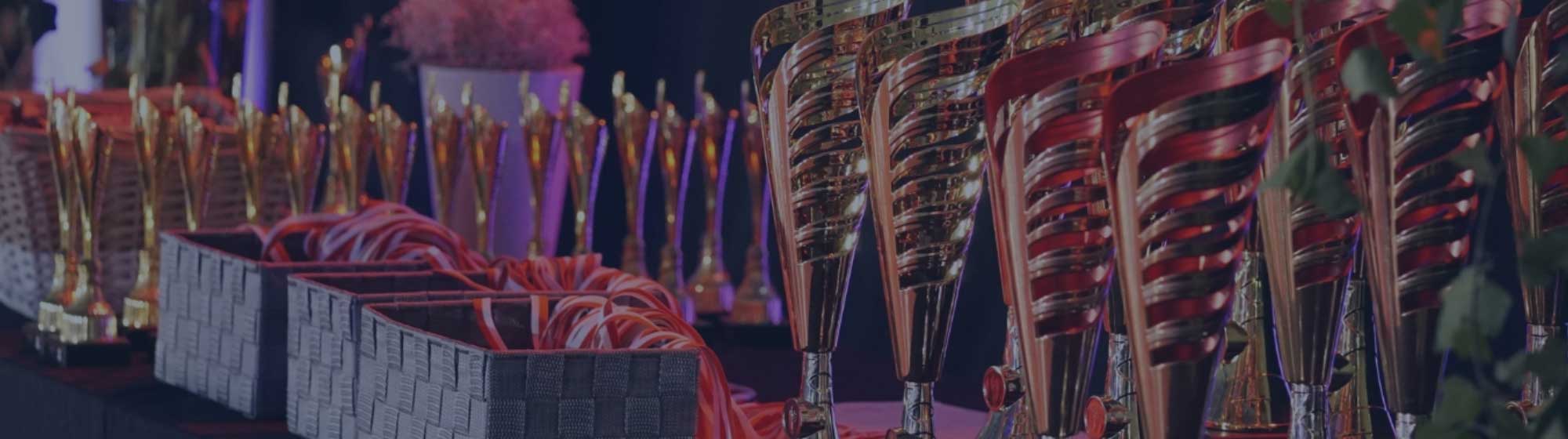 Series of trophies with gold figurines on top, lined up side by side on a table. In front of the trophies are boxes containing medals attached to red ribbons.